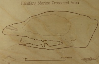 Hanifaru Bay